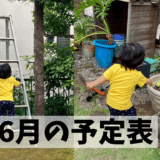 ６月の予定表
