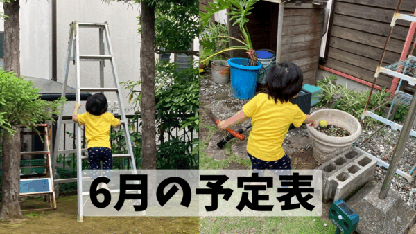 ６月の予定表