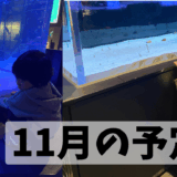 １１月の予定表