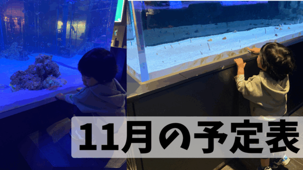11月の予定表