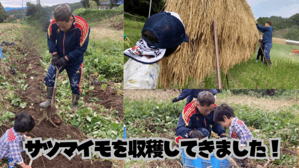 今が旬のスーパーフード、”さつまいも”は今年も優勝です！2025