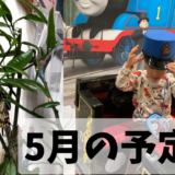 ５月の予定表です。