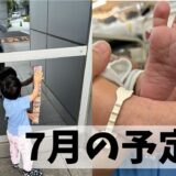 ７月の予定表です。